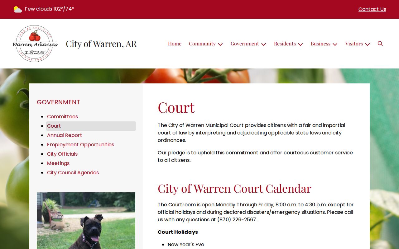Bradley County outstanding warrant Warren court page
